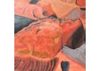 DAMPIER PENINSULA - Red Rocks image