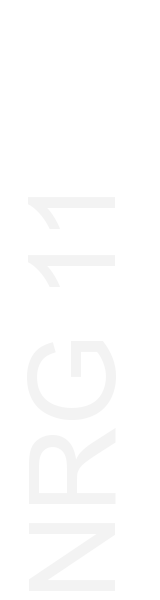 NRG 11